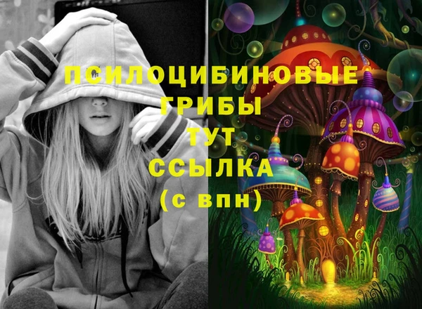 гашик Елабуга