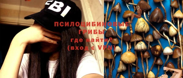 марки nbome Ельня